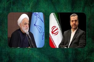 رئیس سازمان تعزیرات از رفع تعهد ۲.۵ میلیارد یورو و صدور ۳۴ همت جریمه در پرونده‌های ارز صادراتی خبر داد