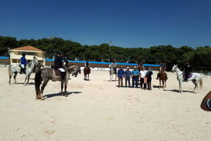 برگزاری کلاسهای پیش نیاز مربیگری  درجه سه  سوار کاری 