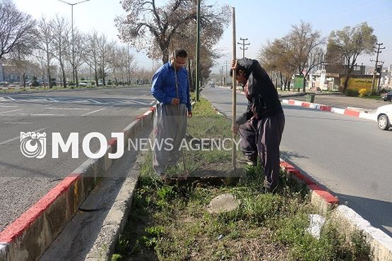عملیات واکاری بلوارها و رفیوژهای سطح شهرسنندج با 2200 اصله نهال