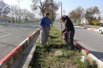 عملیات واکاری بلوارها و رفیوژهای سطح شهرسنندج  با 2200 اصله نهال