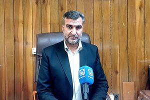 رشد ۷ درصدی پرداخت وام‌های ازدواج و فرزندآوری ایلام در ۷ ماهه امسال