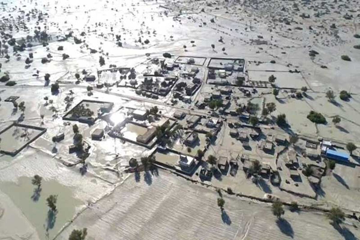 سیل
