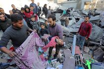  ۸۴ فلسطینی طی ۲۴ ساعت اخیر به شهادت رسیدند
