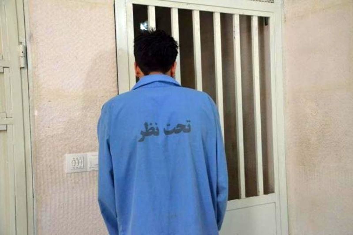 پلیس فارس 