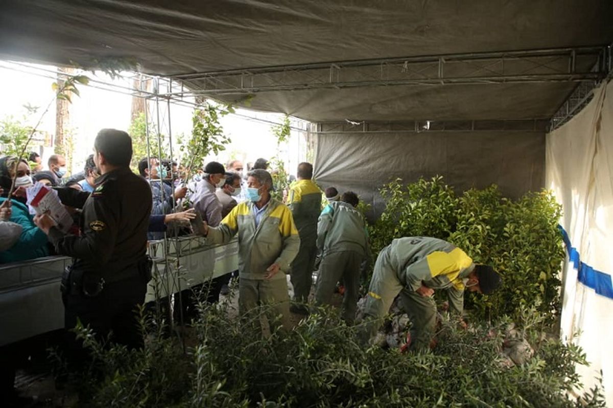 فضای سبزیزد