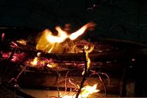 برگزاری آیین چهارشنبه‌سوری در بندرعباس