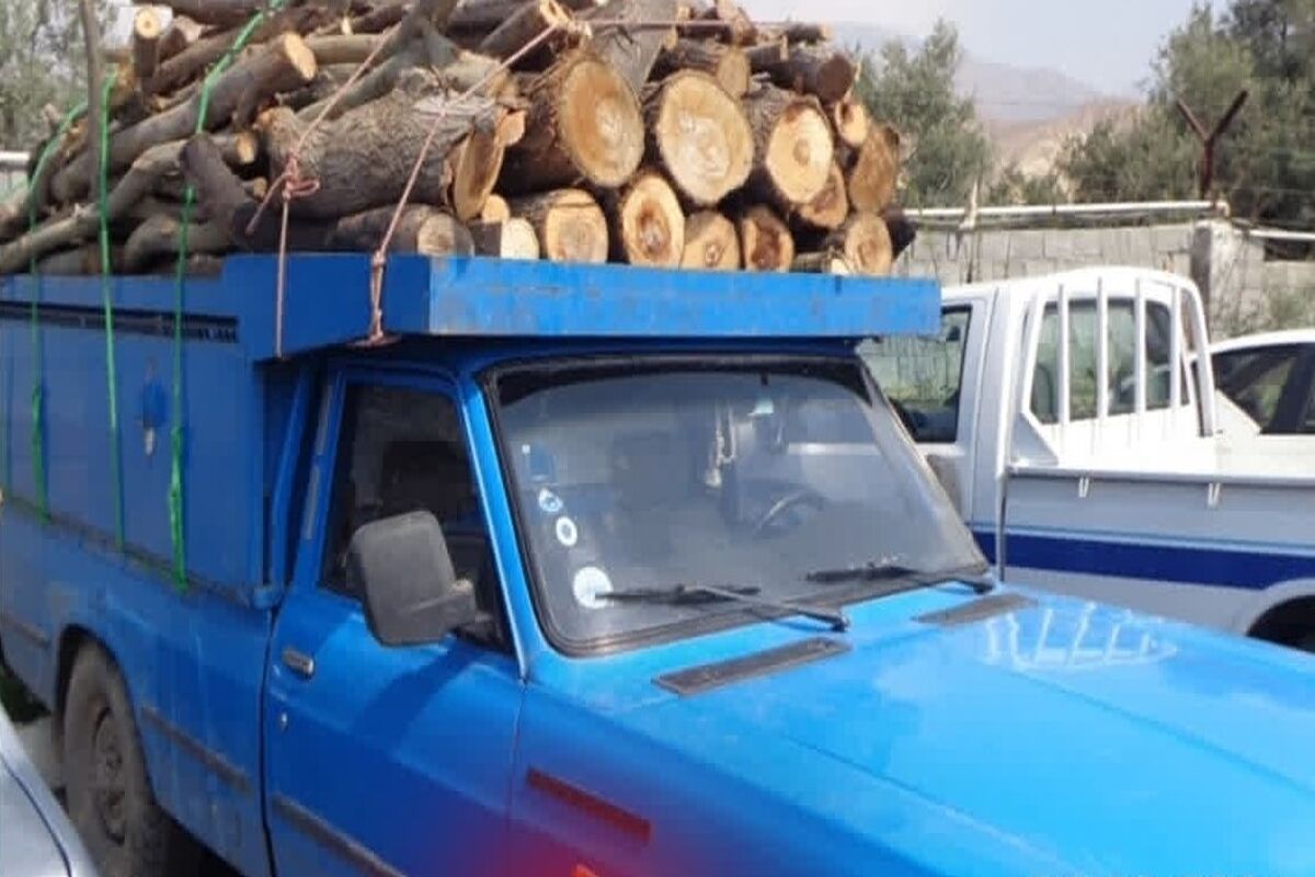 قاچاق چوب (2)