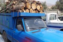 کشف 3 تن چوب قاچاق در آوج