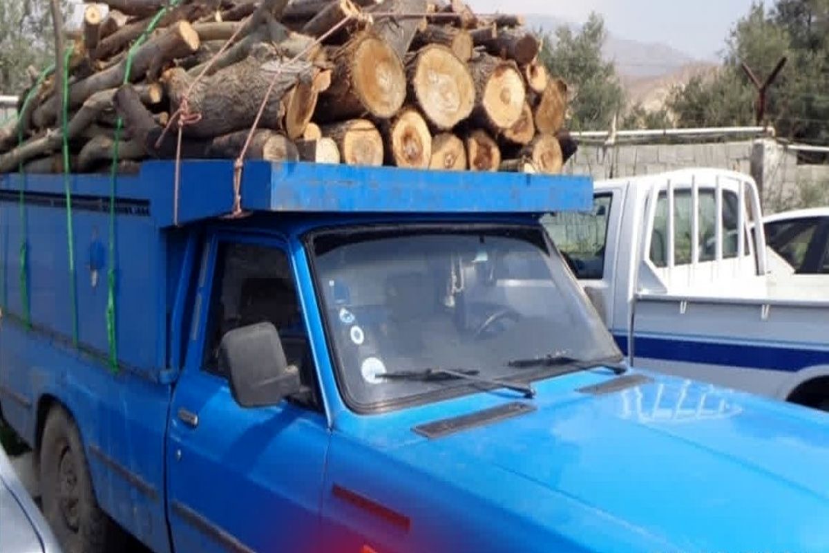 قاچاق چوب (2)