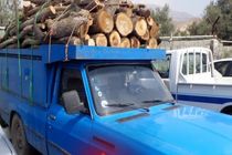 کشف 3 تن چوب قاچاق در آوج