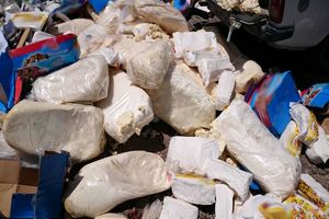 ۶ تن پنیر تاریخ گذشته توسط معاونت غذا و دارو امحاء شد