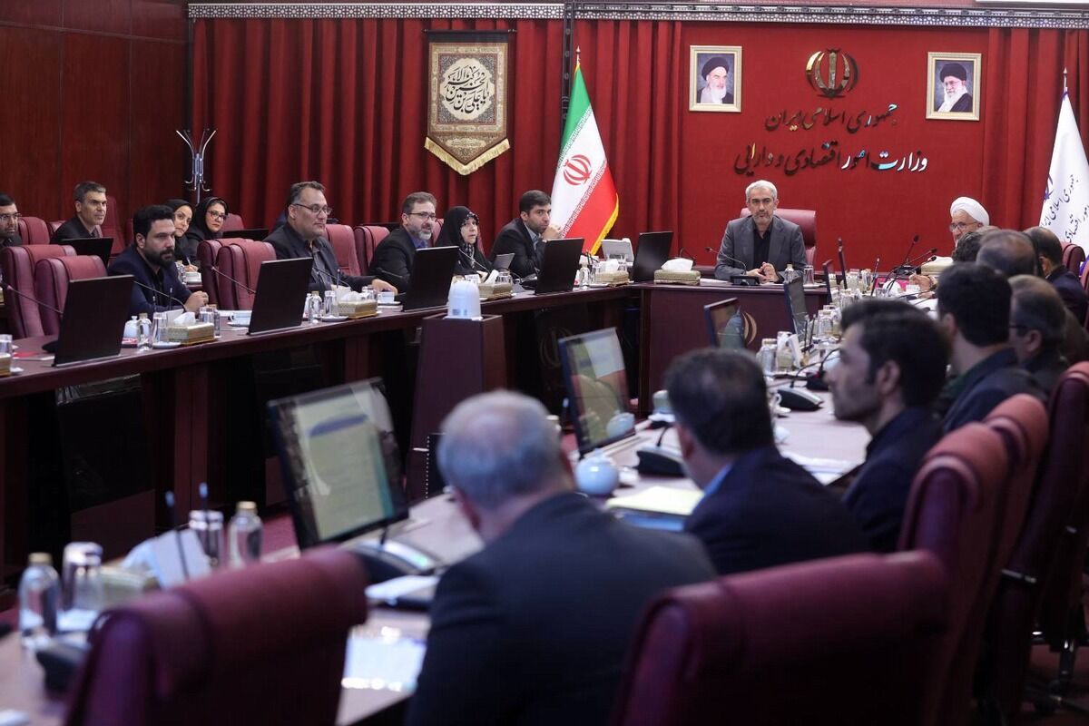 کمیته تخصصی مولدسازی دارایی‌های دولت