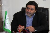 جریمه دو درصدی عدم پرداخت سالیانه عوارض خودرو در ماه