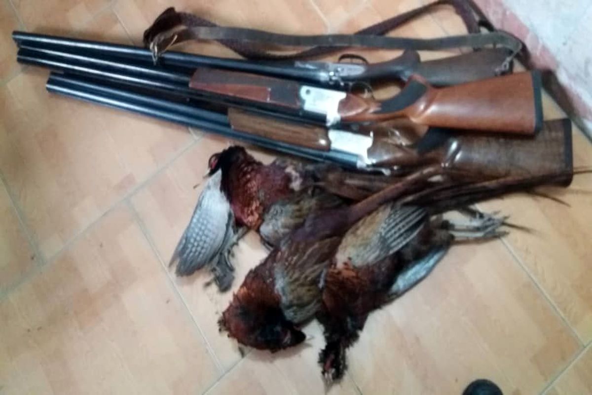 محیط زیست مازندران