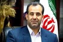 روز آغاز خرید یک‌هزار تن گندم مازاد بر مصرف از کشاورزان 