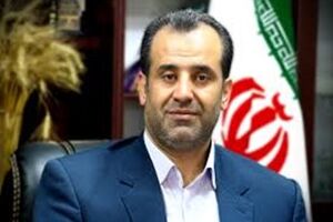 ۶۸ هزار تن گندم از گندم‌کاران مازندران خریداری شد‌