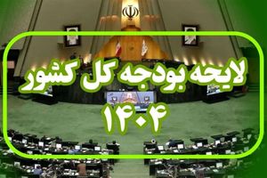 لایحه بودجه 1404 نوعی برنامه استقراضی و تورم زاست