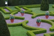 حضور نخبه مهارت کرمانشاه در المپیاد جهانی