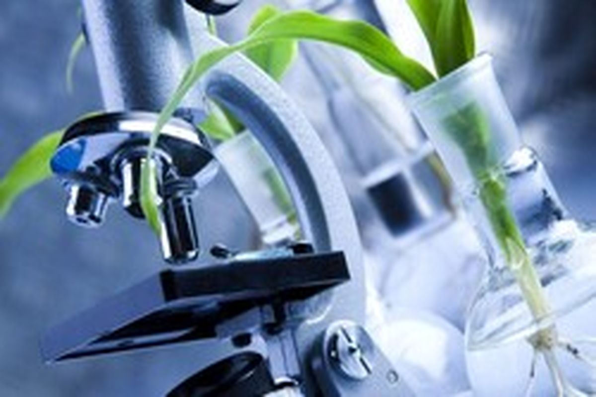 مسابقات علمی