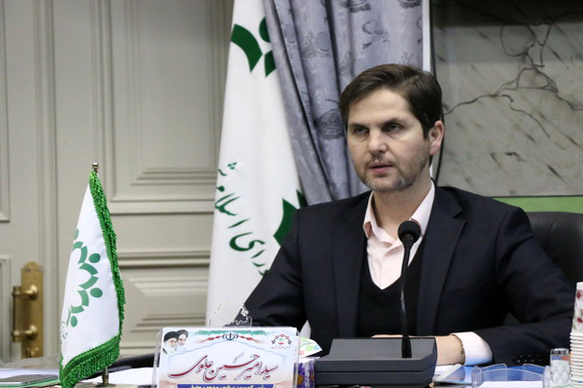 امیر حسین علوی