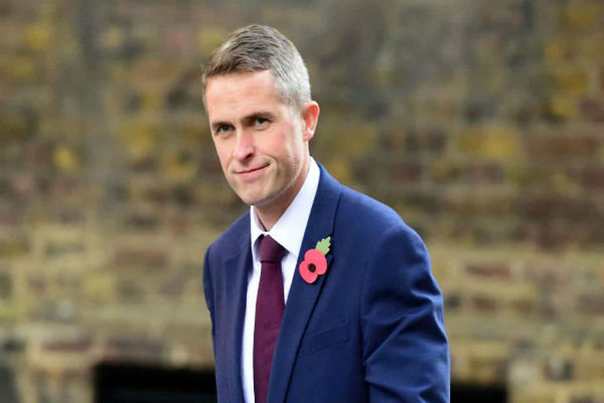 گاوین ویلیامسون