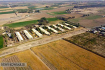  تحقق سود خالص ۹۸ درصدی در شرکت کشت و صنعت اشراق