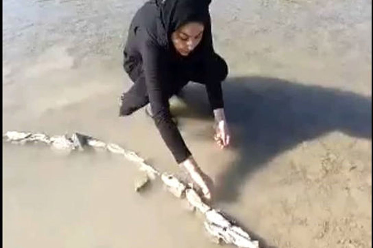 اعظم طباطبائی از اصفهان در فستیوال هنر اجرا: آسیا