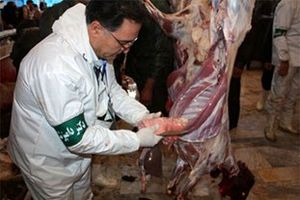 شناسایی 2 مورد بیمار مبتلا به تب کنگو در مازندران