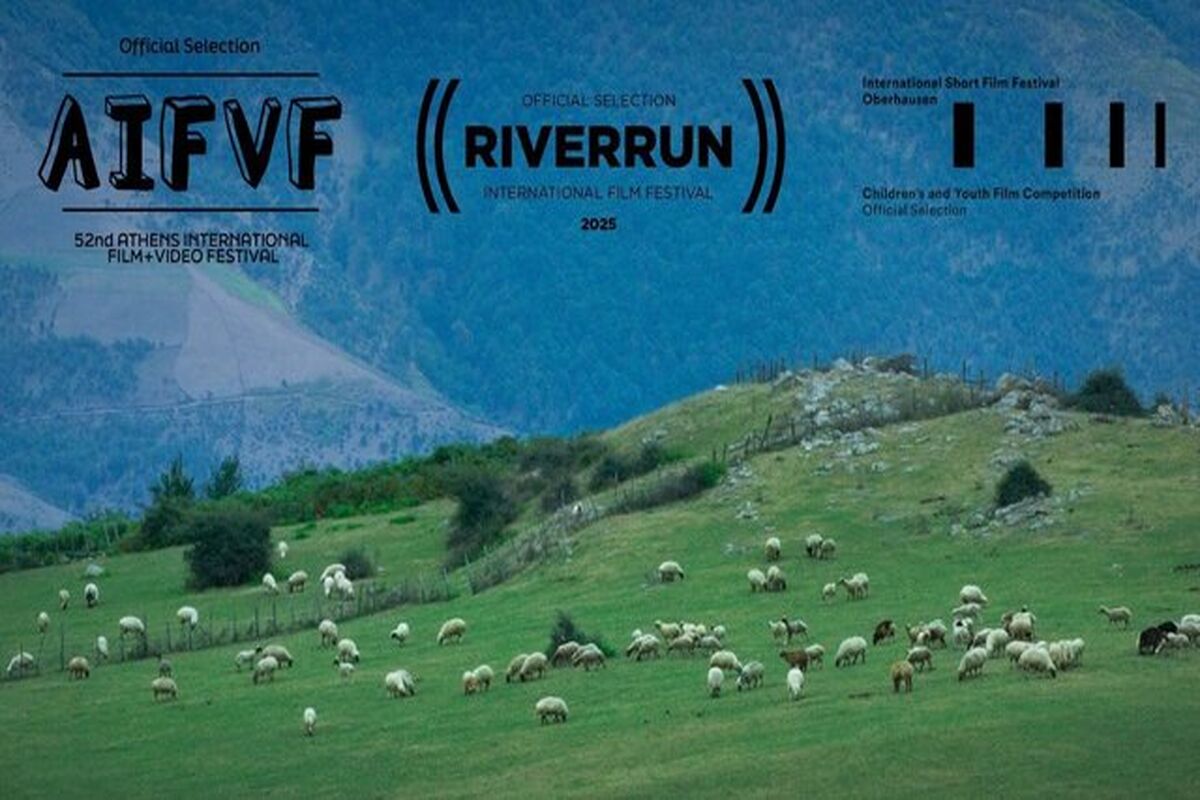 فیلم کوتاه گوسفند