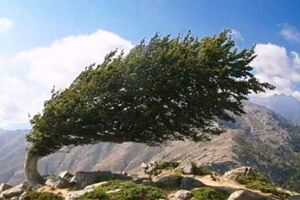 بادهای ۱۲۰ روزه به شرق ایران رسید