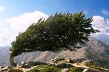 بادهای ۱۲۰ روزه به شرق ایران رسید