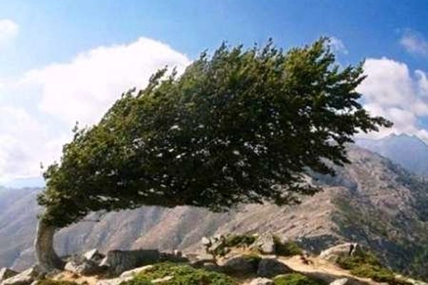 بادهای ۱۲۰ روزه به شرق ایران رسید