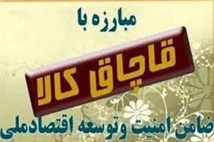 ۲۲۰میلیون ریال اجناس و کالای قاچاق در گنبد کشف و ضبط شد 