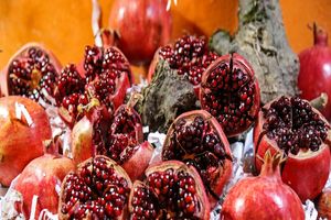  سه جشنواره گیلان در فهرست رویداد‌های گردشگری ثبت شد