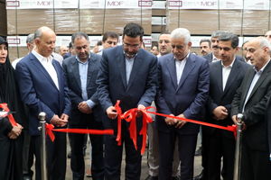 فاز توسعه کارخانه روکش ملامینه رشت افتتاح شد+عکس