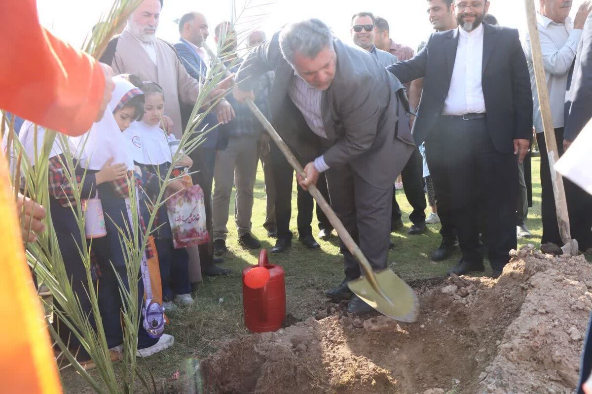 کاشت نهال