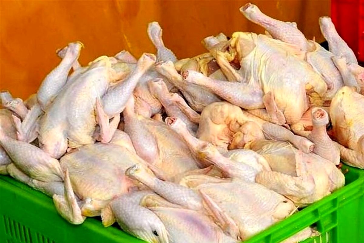 مرغ