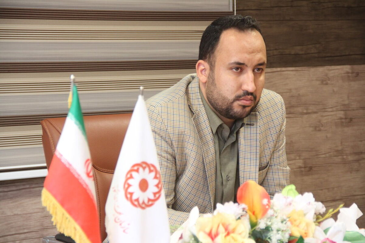 حامد رضایی