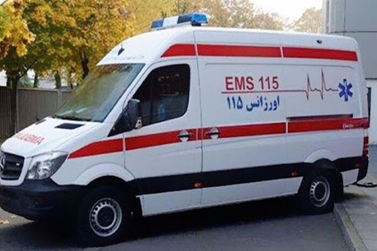 169684214