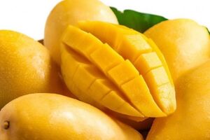 چراغ سبز دولت به واردات انبه از کنیا