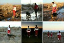 جستجو برای مفقودان حادثه دشت پلنگ با استفاده از سگ‌های زنده‌یاب