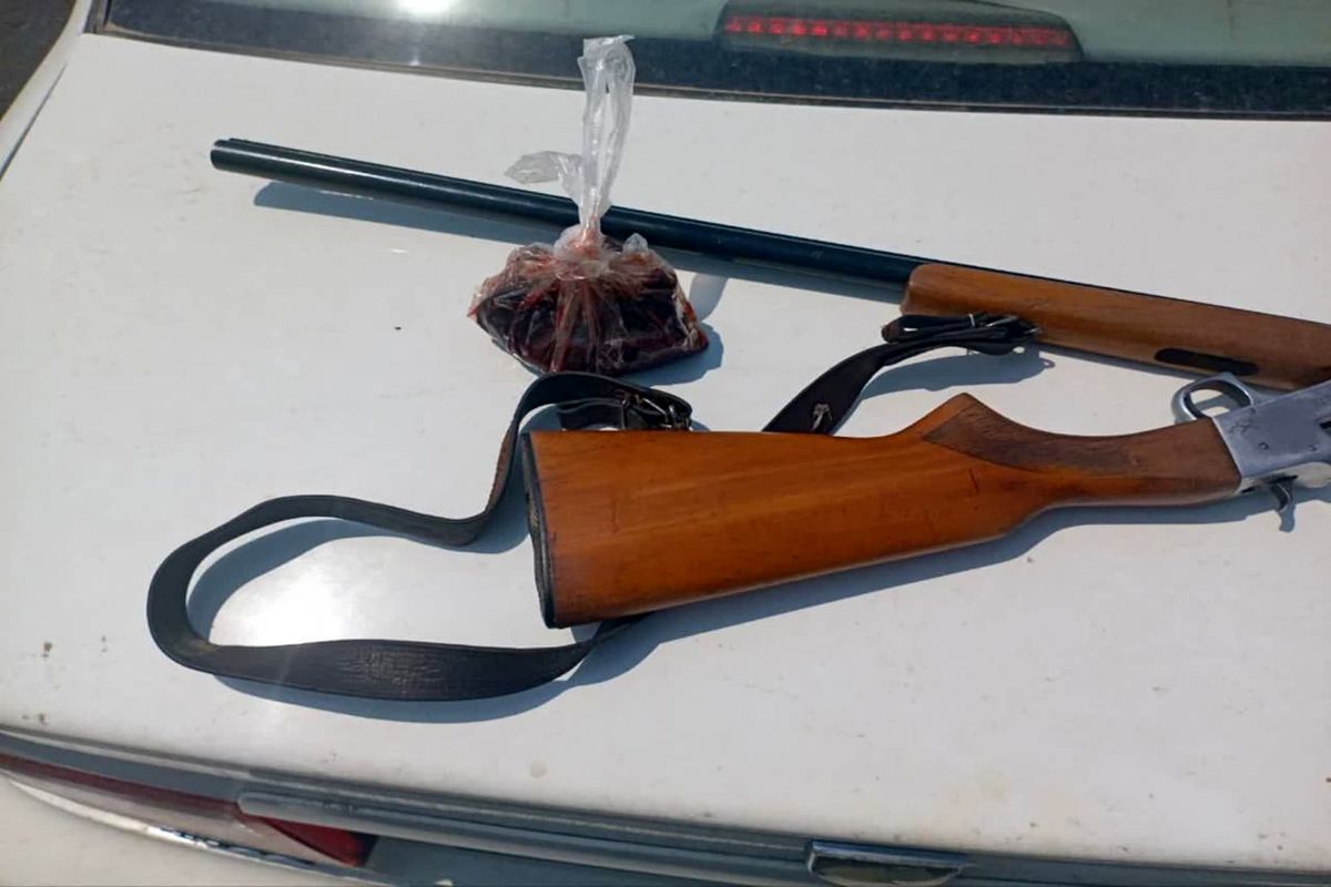 محیط زیست مازندران