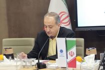 برطرف شدن چالش‌های فعالان اقتصادی با پیگیری‌های جدی دبیرخانه شورا
