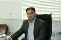 آغاز برداشت آفتابگردان از مزارع اردستان / پیش بینی بیش از 800 تن آفتابگردان