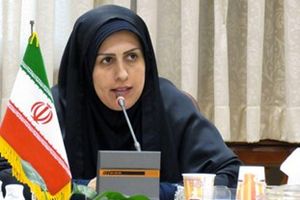 فعالیت 65 تشکل حوزه زنان در مازندران