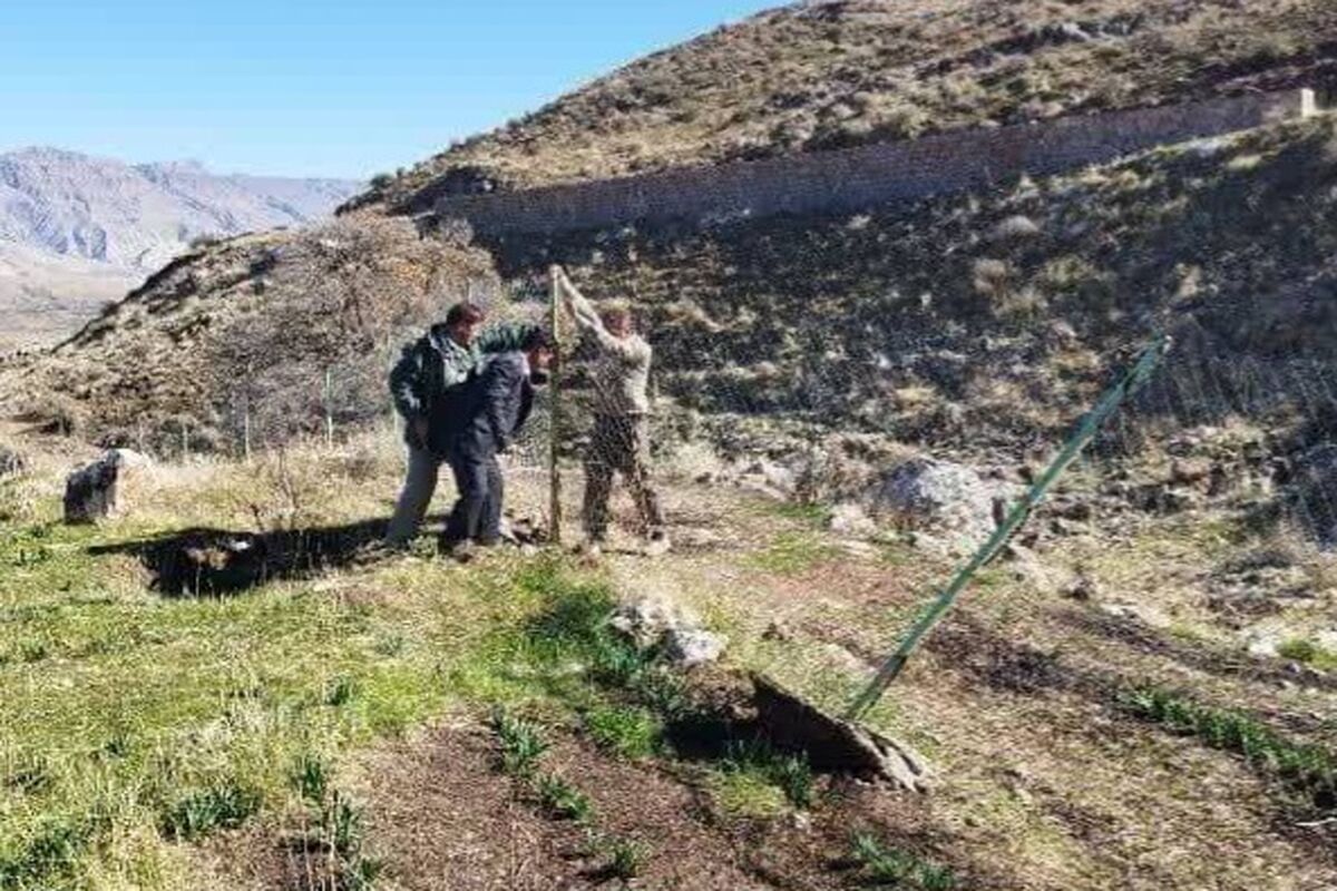 محیط زیست