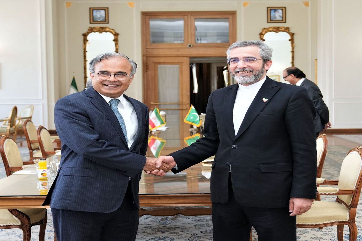 علی باقری معاون سیاسی وزارت امور خارجه و اسد مجیدخان قائم مقام وزارت امور خارجه جمهوری اسلامی پاکستان