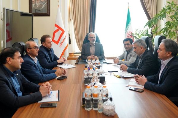  فلسفه وجودی ستاد حمایت از شعب است
