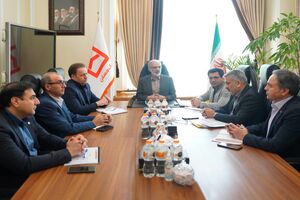  فلسفه وجودی ستاد حمایت از شعب است