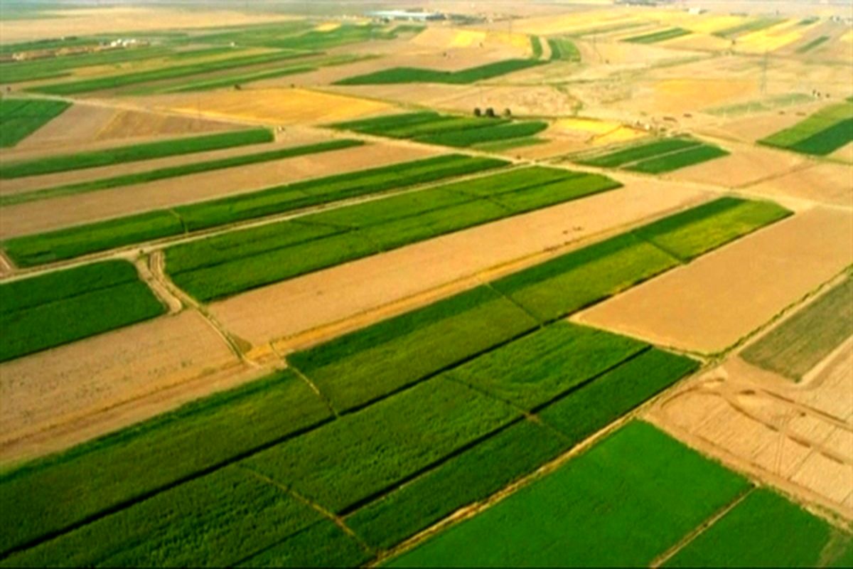 معاون اجتماعی و پیشگیری از وقوع جرم دادگستری کل استان قزوین